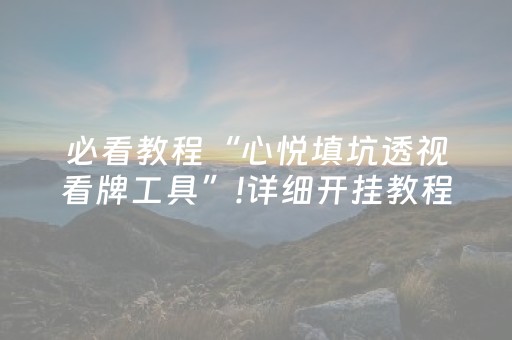 必看教程“心悦填坑透视看牌工具”!详细开挂教程-抖音