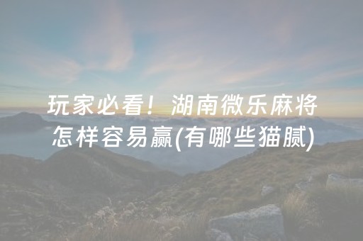 玩家必看！湖南微乐麻将怎样容易赢(有哪些猫腻)