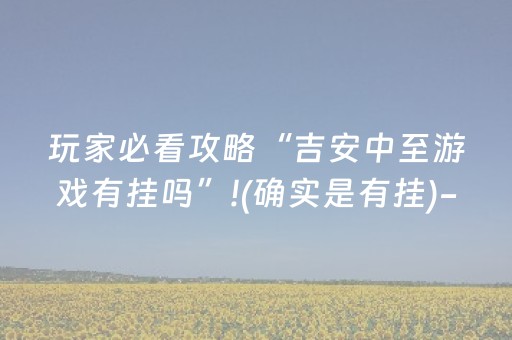 实测分析“小程序麻将插件”（详细透视教程）-哔哩哔哩