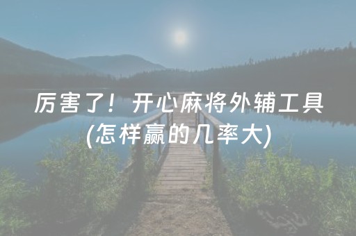 厉害了！开心麻将外辅工具(怎样赢的几率大)