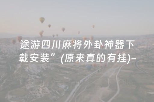 实测结果“微信微乐麻将胡牌神器（专用辅牌神器免安装）