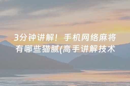 3分钟讲解！手机网络麻将有哪些猫腻(高手讲解技术)
