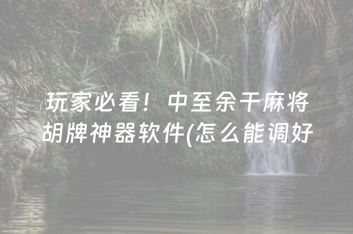 玩家必看！中至余干麻将胡牌神器软件(怎么能调好牌)