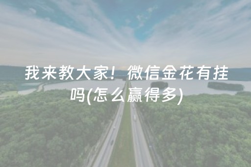 玩家必看攻略“心悦麻将看牌工具（助赢神器通用版）