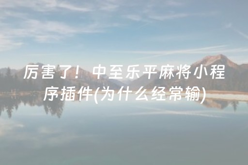 厉害了！中至乐平麻将小程序插件(为什么经常输)