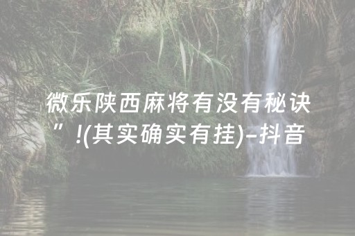 教程辅助“途游四川麻将辅助器（专用辅牌神器免安装）