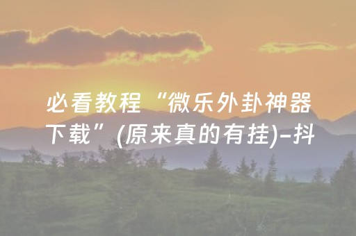 必看教程“微乐外卦神器下载”(原来真的有挂)-抖音