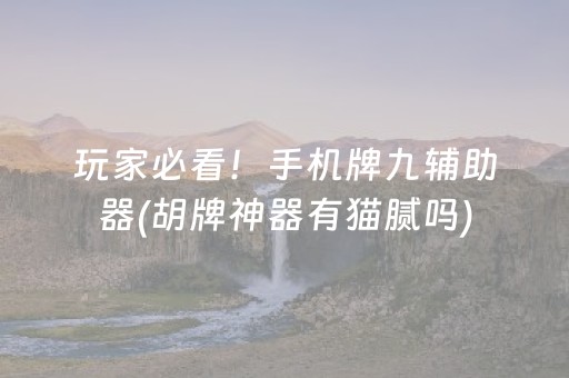 玩家必看！手机牌九辅助器(胡牌神器有猫腻吗)