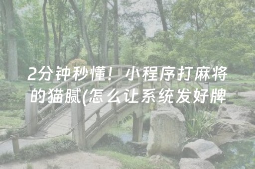 2分钟秒懂！小程序打麻将的猫腻(怎么让系统发好牌)