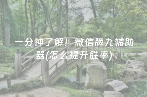 一分钟了解！微信牌九辅助器(怎么提升胜率)