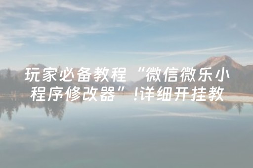 玩家必备教程“微信微乐小程序修改器”!详细开挂教程-抖音