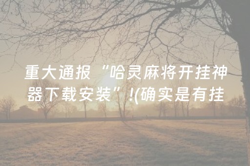 重大通报“哈灵麻将开挂神器下载安装”!(确实是有挂)-抖音