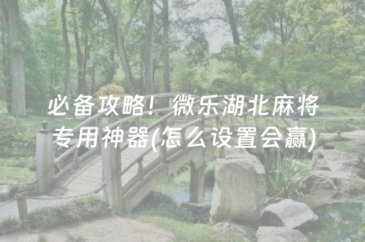 必备攻略！微乐湖北麻将专用神器(怎么设置会赢)