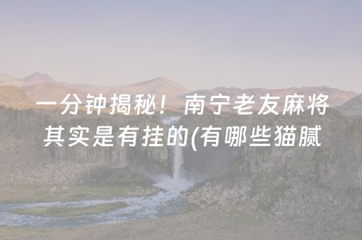 一分钟揭秘！南宁老友麻将其实是有挂的(有哪些猫腻)
