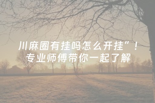川麻圈有挂吗怎么开挂”!专业师傅带你一起了解（详细教程）-抖音