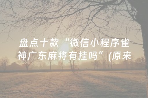 分享辅助“微乐湖北麻将助赢神器购买（专用辅牌神器免安装）