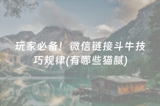 3分钟学会“手机斗地主辅牌器购买”（详细透视教程）-哔哩哔哩