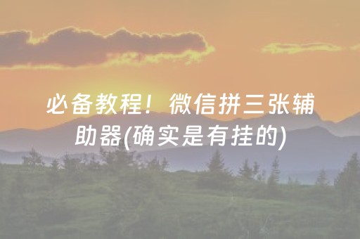 必备教程！微信拼三张辅助器(确实是有挂的)