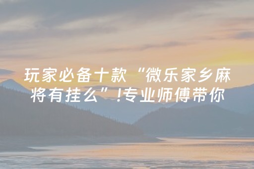 玩家必备十款“微乐家乡麻将有挂么”!专业师傅带你一起了解（详细教程）-抖音