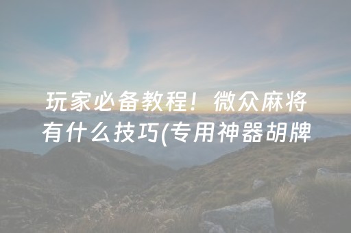 玩家必备教程！微众麻将有什么技巧(专用神器胡牌技巧)