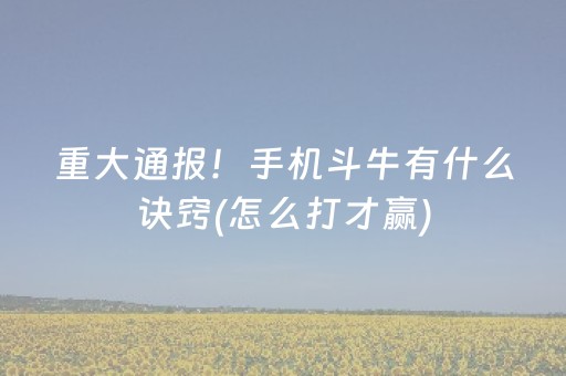 重大通报！手机斗牛有什么诀窍(怎么打才赢)