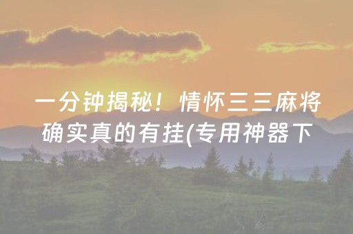 实测结果“手机金花辅助器通用版苹果”（详细透视教程）-哔哩哔哩