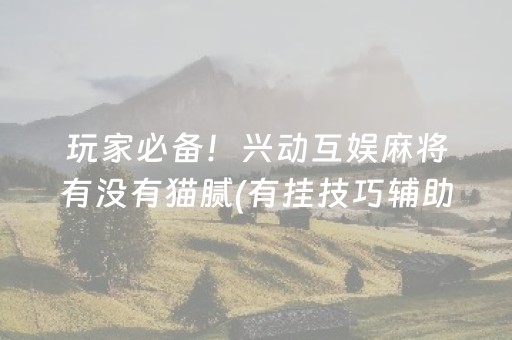 玩家必备！兴动互娱麻将有没有猫腻(有挂技巧辅助器)