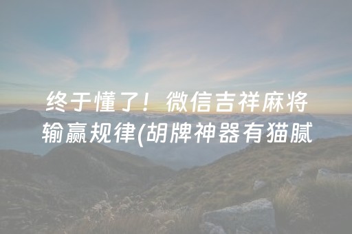 教程辅助“埋雷企业微信红包扫雷控制尾数开挂软件辅助器”（详细透视教程）-哔哩哔哩