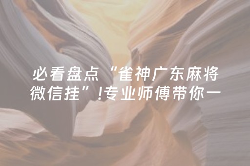 必看盘点“雀神广东麻将微信挂”!专业师傅带你一起了解（详细教程）-抖音