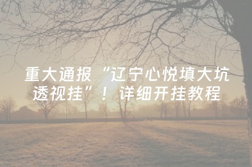 重大通报“辽宁心悦填大坑透视挂”！详细开挂教程（确实真的有挂)-抖音