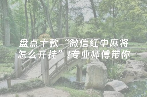 盘点十款“微信红中麻将怎么开挂”!专业师傅带你一起了解（详细教程）-抖音