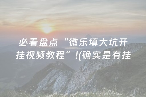 必看盘点“微乐填大坑开挂视频教程”!(确实是有挂)-抖音