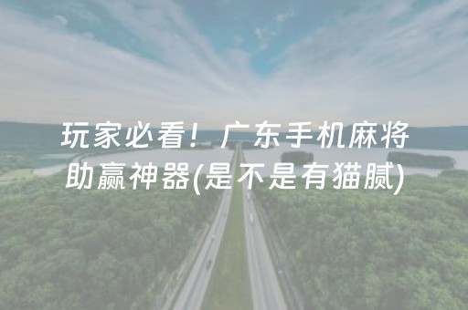 玩家必看！广东手机麻将助赢神器(是不是有猫腻)