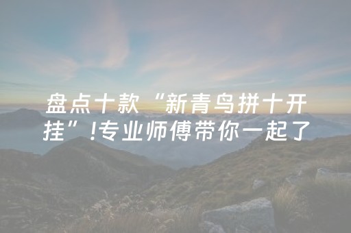 盘点十款“新青鸟拼十开挂”!专业师傅带你一起了解（详细教程）-抖音