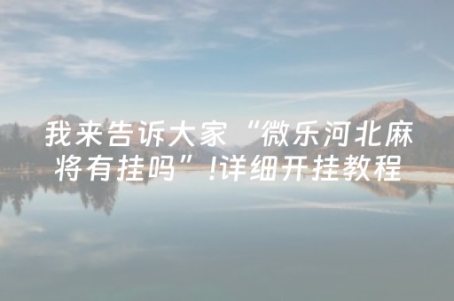 我来告诉大家“微乐河北麻将有挂吗”!详细开挂教程-抖音