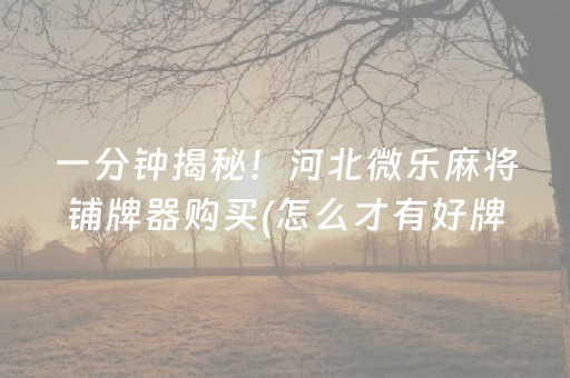 一分钟揭秘！河北微乐麻将铺牌器购买(怎么才有好牌)