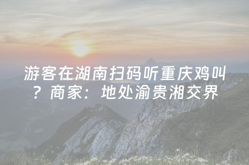 今日实测“雀神小程序辅助app多少钱”（详细开挂教程）-哔哩哔哩