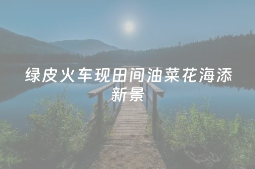 3分钟学会“红包三公控制三个尾数”（详细透视教程）-哔哩哔哩