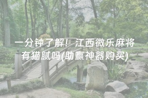 一分钟了解！江西微乐麻将有猫腻吗(助赢神器购买)