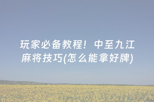 终于发现了“大唐山西麻将系统规律（助赢神器通用版）