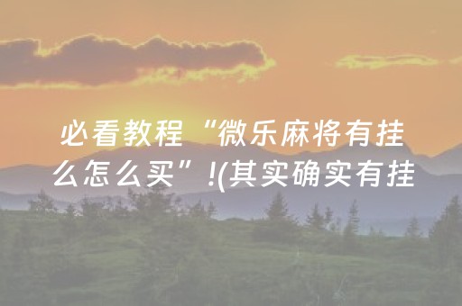 必看教程“微乐麻将有挂么怎么买”!(其实确实有挂)-抖音