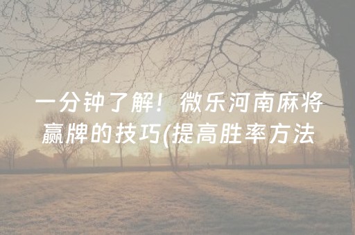 一分钟了解！微乐河南麻将赢牌的技巧(提高胜率方法)