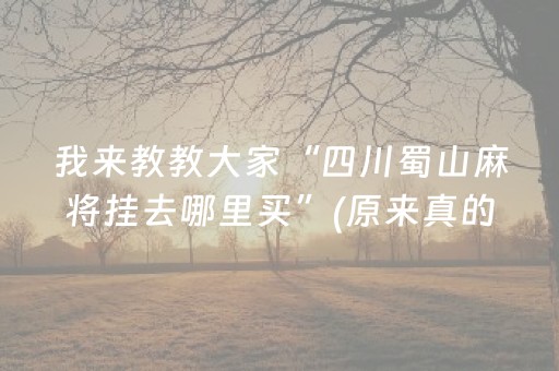 我来教教大家“四川蜀山麻将挂去哪里买”(原来真的有挂)-抖音