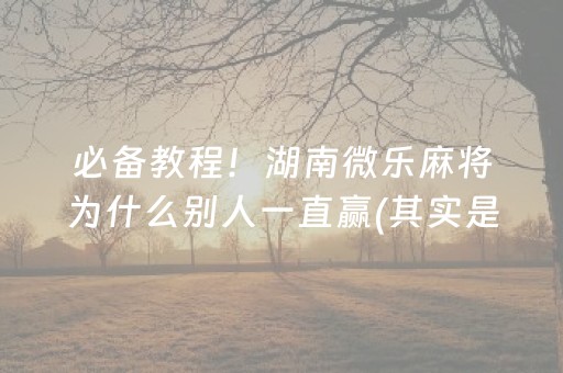 必备教程！湖南微乐麻将为什么别人一直赢(其实是有挂的)