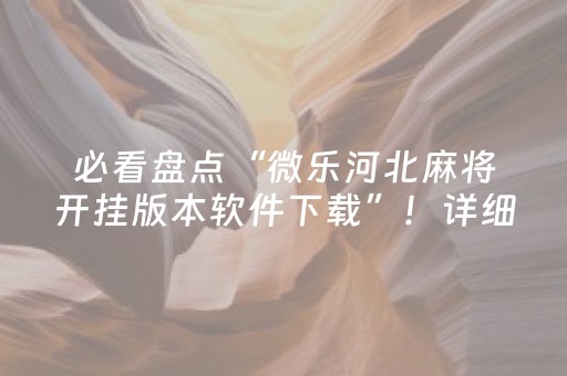 必看盘点“微乐河北麻将开挂版本软件下载”！详细开挂教程（确实真的有挂)-抖音
