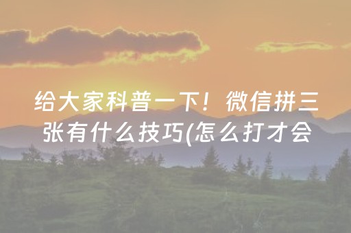 必看教程“微信麻将怎么提升胜率”（详细透视教程）-哔哩哔哩