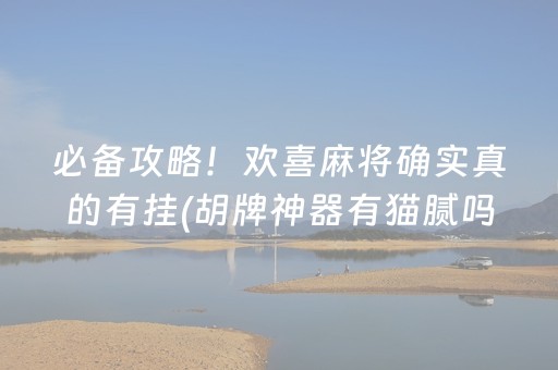 必备攻略！欢喜麻将确实真的有挂(胡牌神器有猫腻吗)