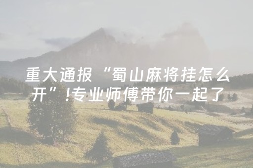 玩家实测“微乐海南麻将神器软件下载”（详细透视教程）-哔哩哔哩