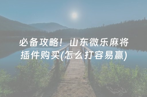 必备攻略！山东微乐麻将插件购买(怎么打容易赢)