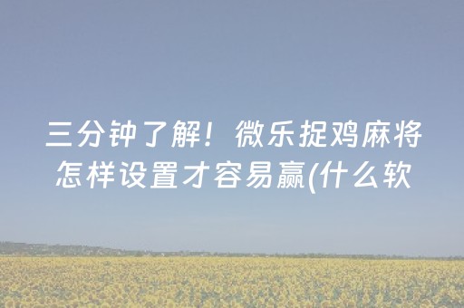 三分钟了解！微乐捉鸡麻将怎样设置才容易赢(什么软件可以赢)
